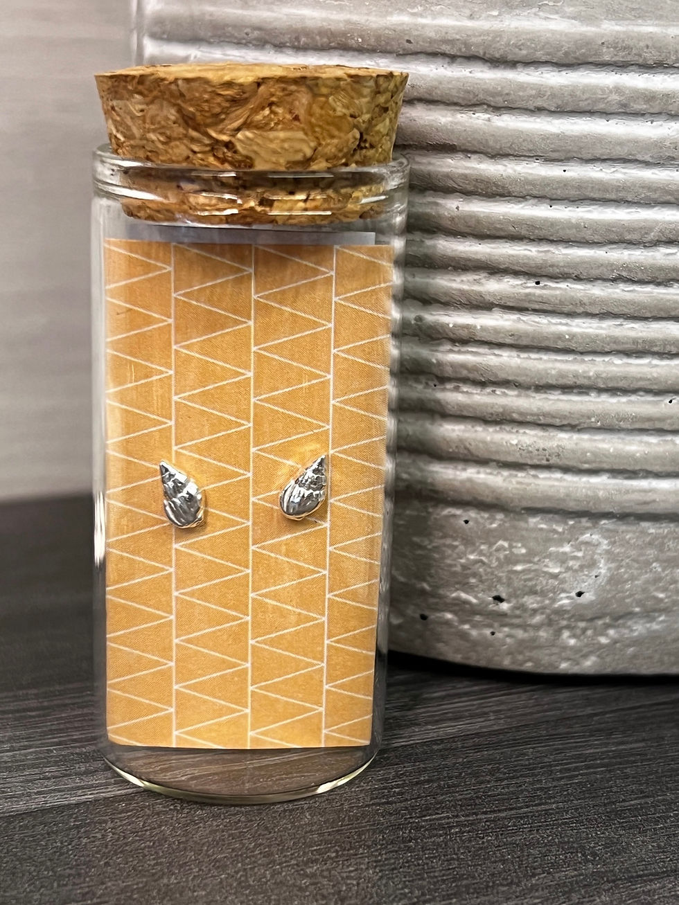 Thumbnail: silver shell stud earrings