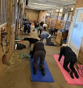 Goat Yoga 1.jpeg