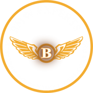 bmw expert (2).png