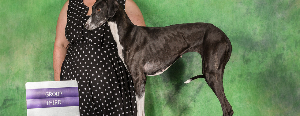 Credit OlyHillary Photography