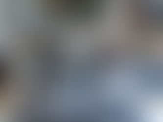 You Set Your Own Boundaries. What Do You Let Your Dog Get Away With?