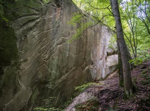 DSC_7363.jpg320.jpg