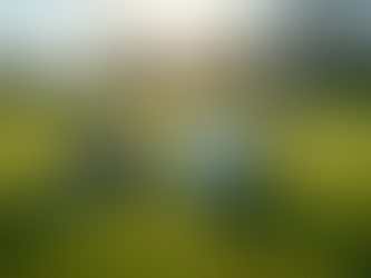 How Custom Fitting Can Improve Your Golf Game