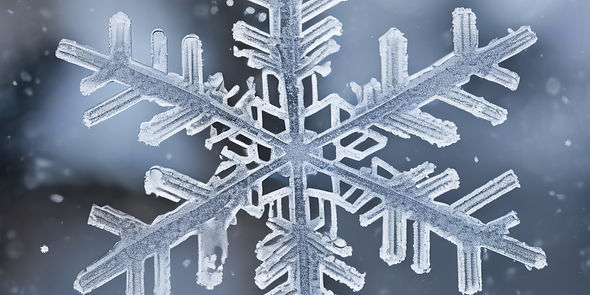 snow flake.jpg