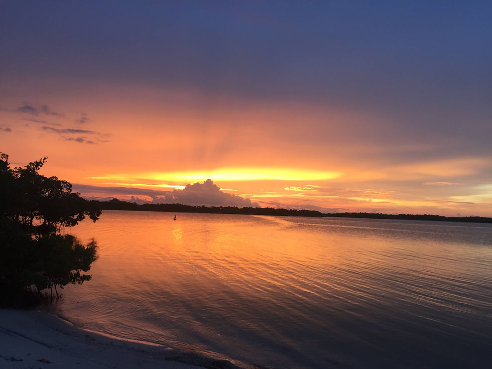 The Principles of Care