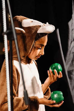 CV_YR6_Play_BongoBandits_2018_DBK0793siz