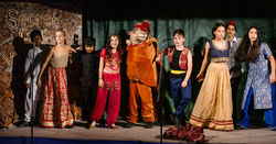 CV_YR6_BongoBandits_2018_(2)_DBK0175siz