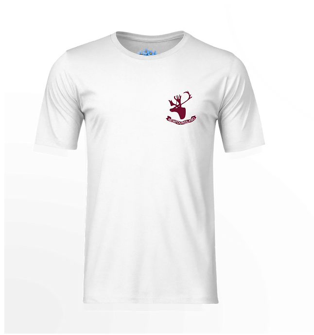 RNFLDTwhitesmalllogowithnecklabel.png