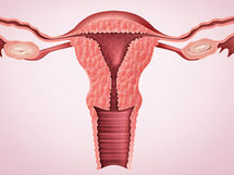 توسع المهبل: ما هي أسبابه وأعراضه وطرق علاجه؟