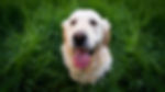 TIK-web-page1-photo2-1600x900px.jpg