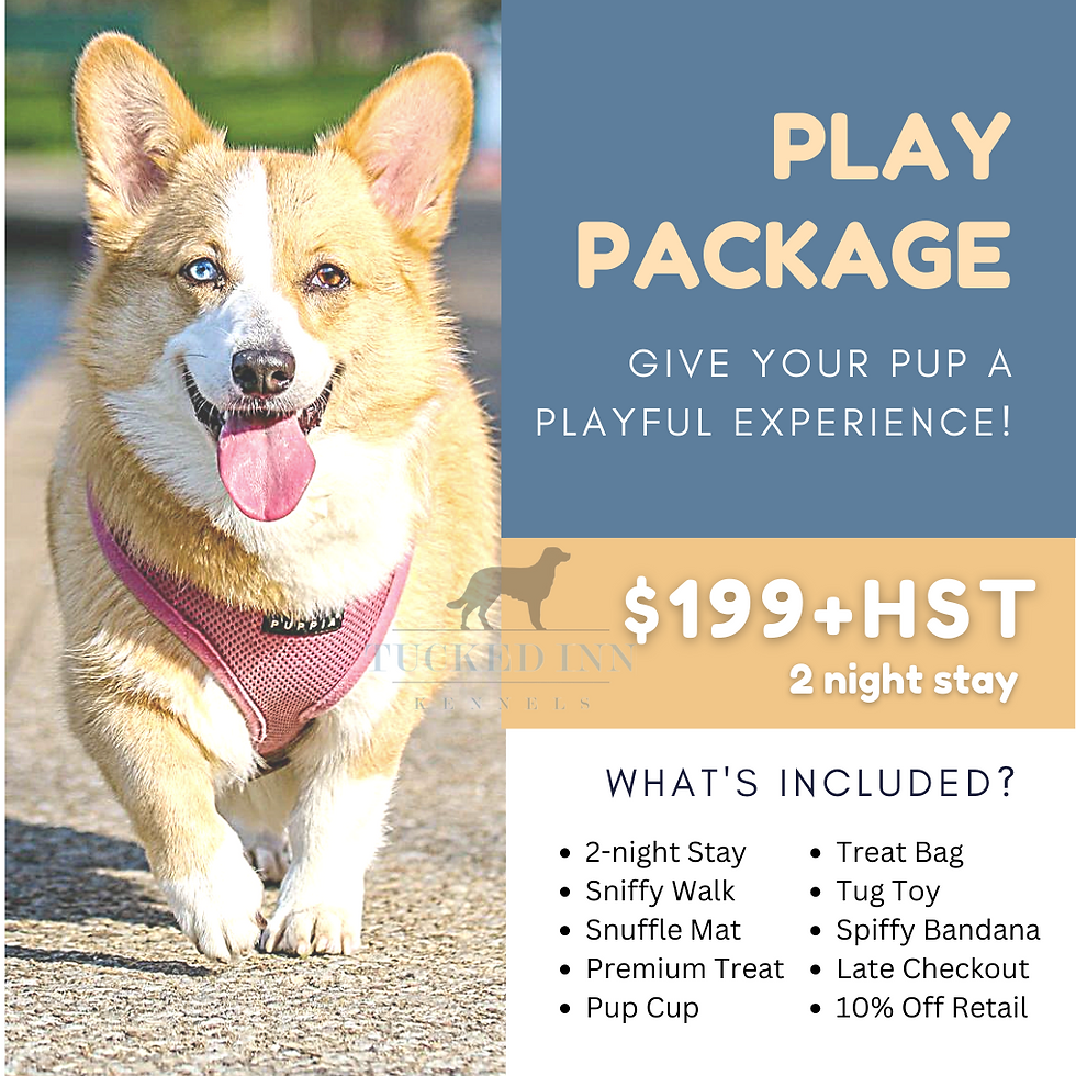 Play Package