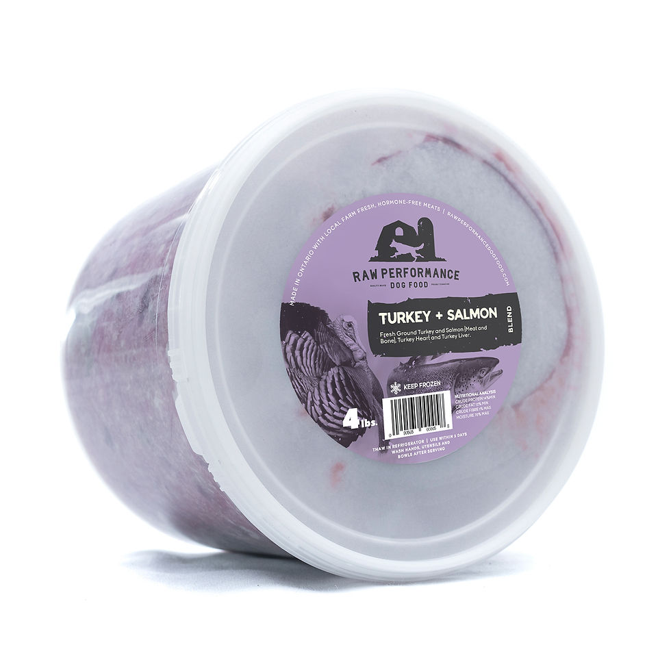 Thumbnail: Raw Performance Turkey + Salmon Blend