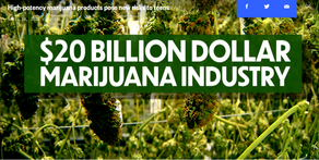 States that legalized marijuana now researching mental health risks of high-potency cannabis - NBC