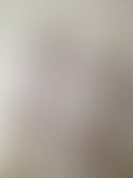 Julemessa trenger deg