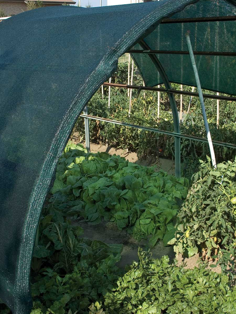 Ombrière 80% protégeant des cultures maraîchères.