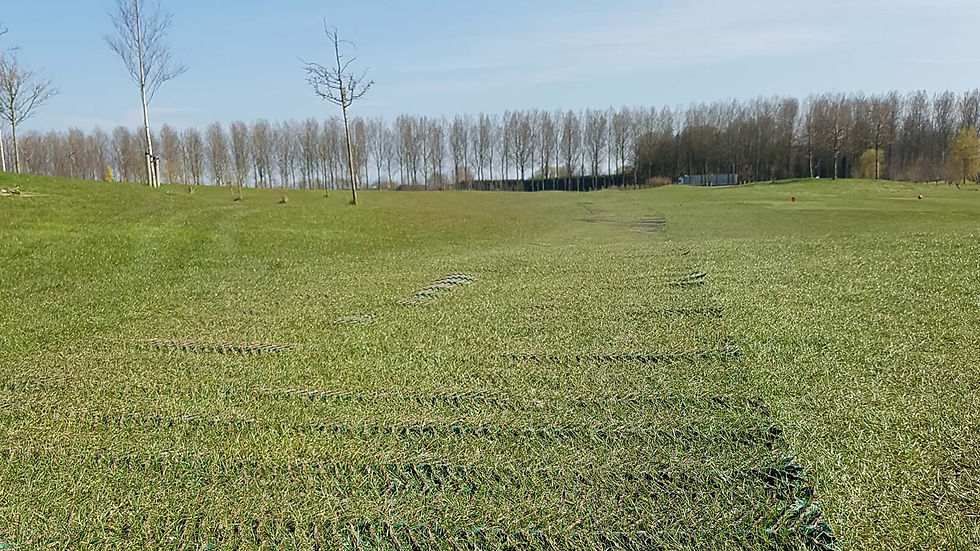 Miniature : Tapis d’accès PMR GPFLEX 1400 posé sur un terrain en herbe.
