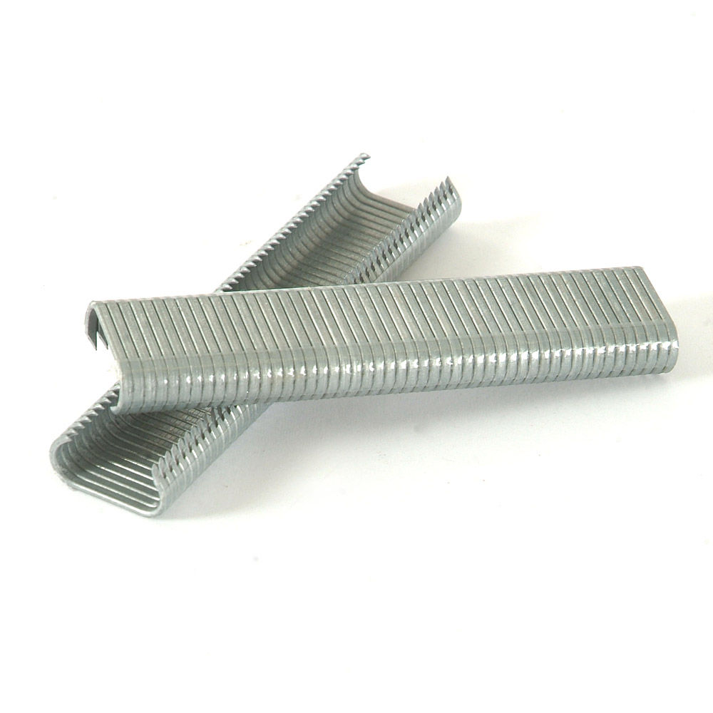 Agrafes galvanisées