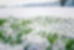 iStock-903316732.jpg