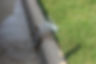 iStock-1500102425.jpg