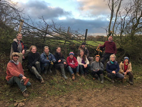 GBC 2021 Hedge laying Update