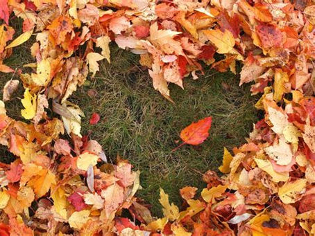 Growing Better Connections Autumn Events Calendar...Join Us!