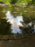 IMG_2247.jpeg