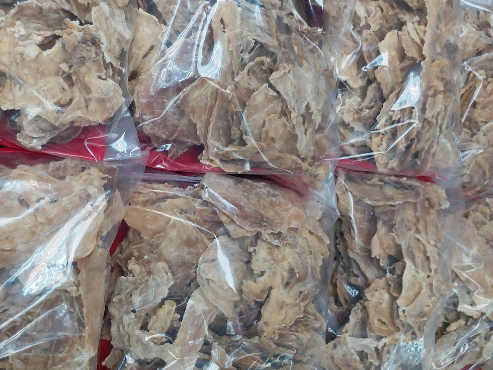 縮圖：鱷魚肉