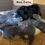 Miniatura: Cachorros american bully