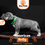 Miniatura: american bully bebe