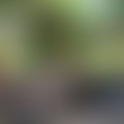 Destination - Garden Cafe