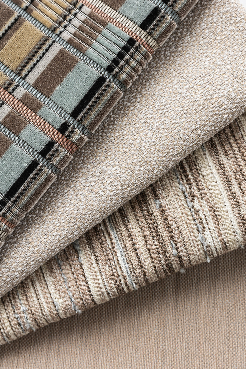 Beautiful Species by Brentano