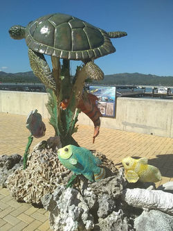 47349067_10156182973267632_2207546102754