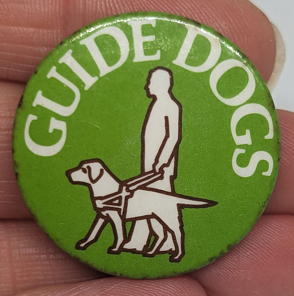 Thumbnail: Vintage Guide Dogs Blind Labrador Charity 1970's Badge Pin  (P2149)