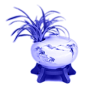 An eastern orchid plant in a bot in digital blue