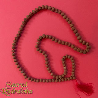 Ten mukhi Rudraksha mala 108 beads Sacred Rudraksha