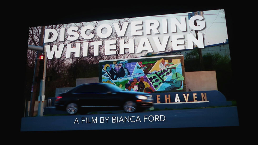 ‘Discovering Whitehaven’ shown at neighborhood screening
