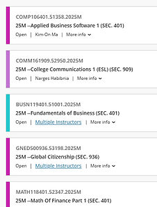 Image of an online class