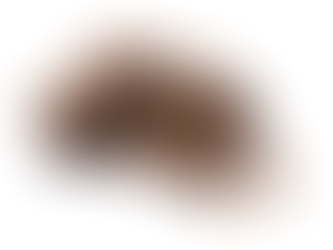 Is it safe to eat chocolates during pregnancy?