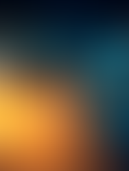 November Market Outlook