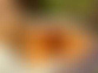 BUFFALO CHICKEN CALZONE