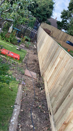 236476575_221962163267880_2769038180360307305_n