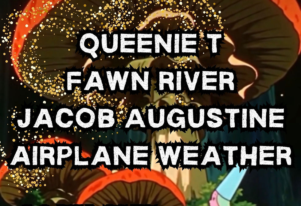 Queenti T, Fawn River, Jacob Augustine, Airplane Weather