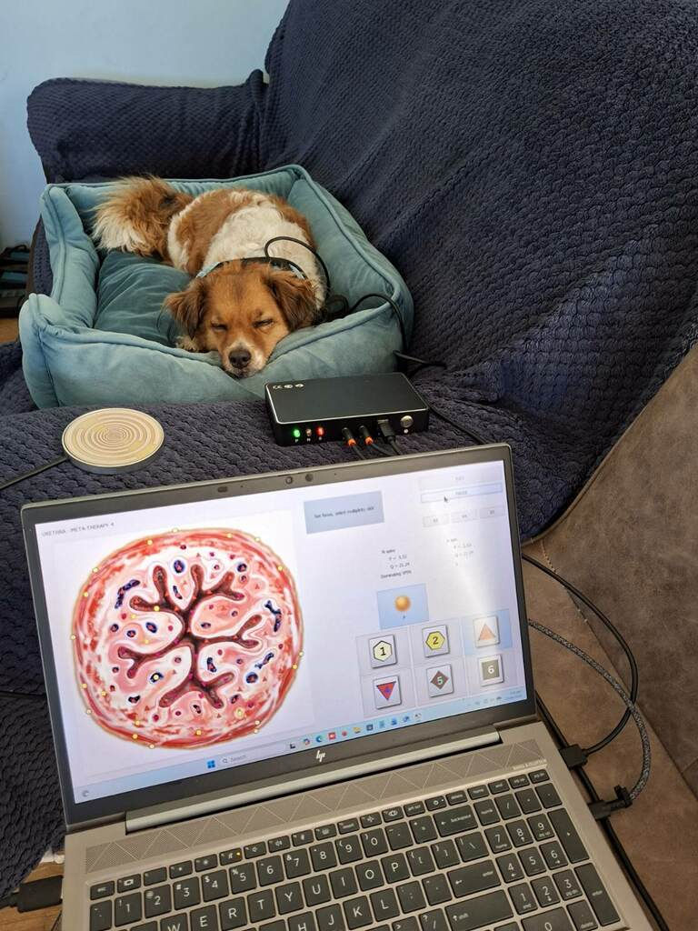 ruby having electromagnetic therapy session