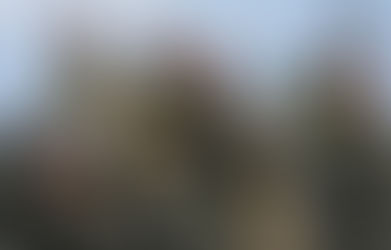 Medio Oriente:
Rusia suministrará armas al Ejército libanés