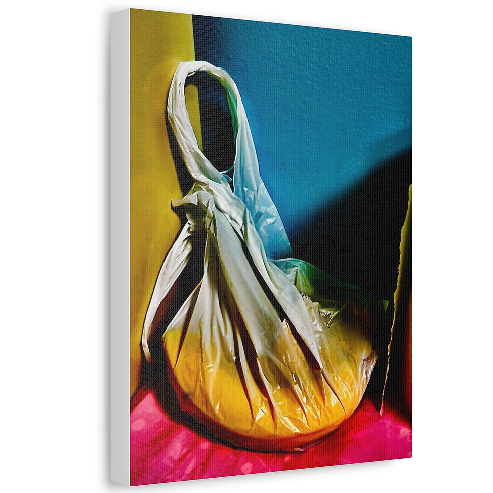 Thumbnail: Nothing Ordinary About This Life  Canvas - Superflatte Collection 