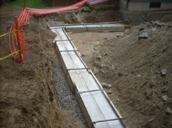 buis pics 067