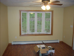 BUIS PICS 222 033