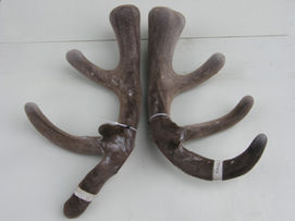 77-07-8-24kg 4 yr 2nd place nationals 2011.jpg