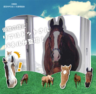 メイショウドトウの等身大パネルが登場❗✨&「シマウマ🦓➡ウマ🐴」に姿が戻ったドットさん🧙😌