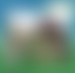 メイショウドトウ＆メトの特製コースターがもらえる⁉コラボドリンク発売中❗🍹🐴🐈